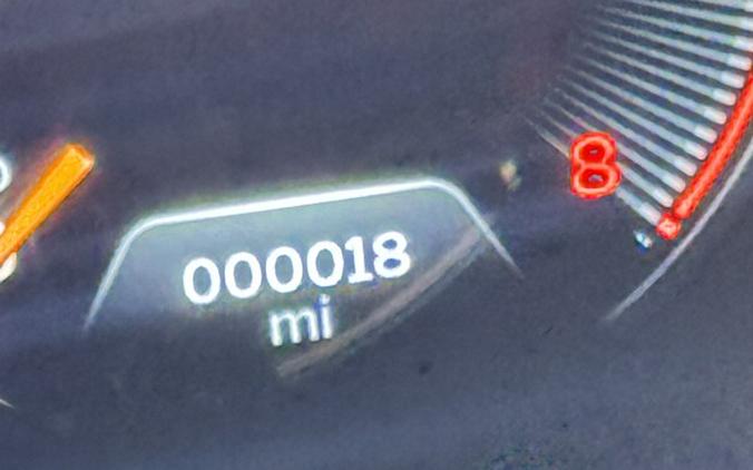 2025 Harley-Davidson Road Glide® FLTRX BILLIARD GRAY