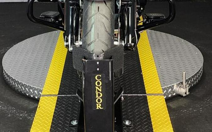 2025 Harley-Davidson Road Glide® FLTRX BILLIARD GRAY