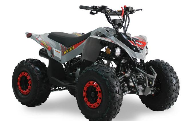 2026 IceBear 125 SY(SY125) Red - T1001556