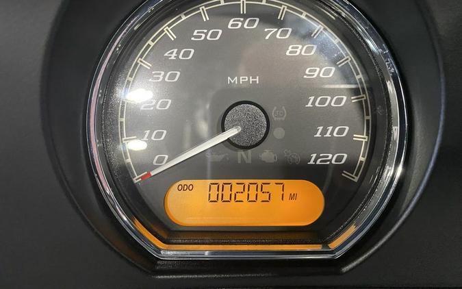 2019 Harley-Davidson® FLHT - Electra Glide® Standard