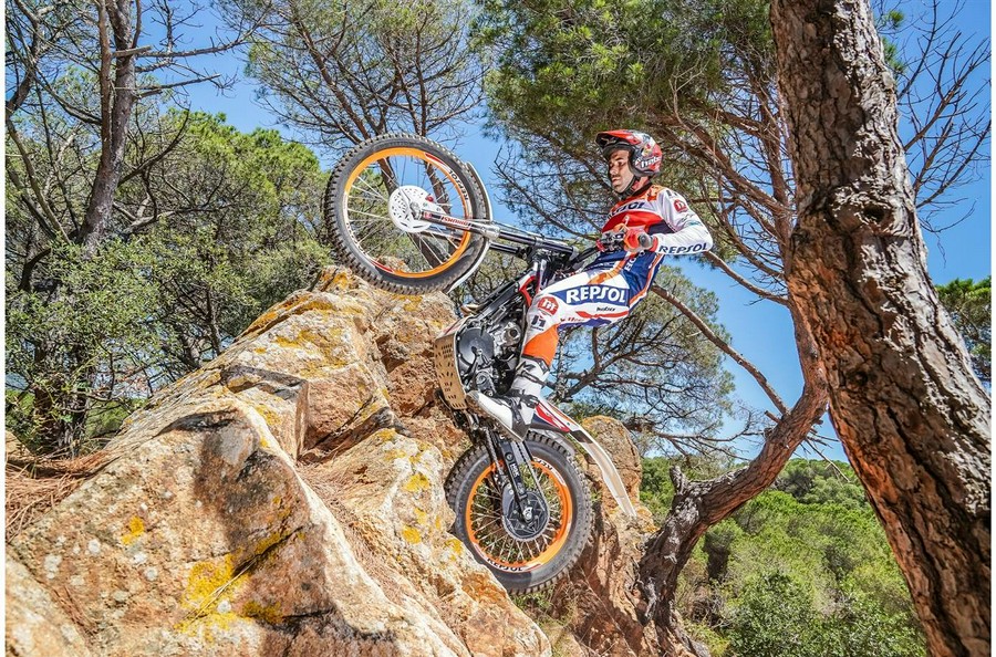 2023 Honda Montesa Cota 301RR