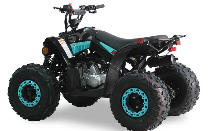 2026 IceBear 125 SY(SY125) Blue - T1001658