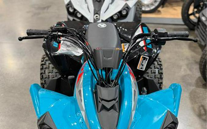 2026 Can-Am Renegade 110 EFI