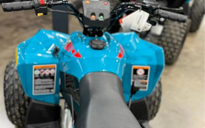 2026 Can-Am Renegade 110 EFI
