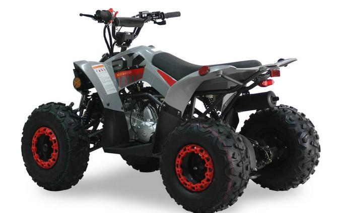 2026 IceBear 125 SY(SY125) Red - T1001549