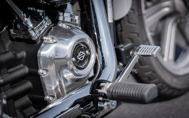 2024 Harley-Davidson® FXST - Softail® Standard