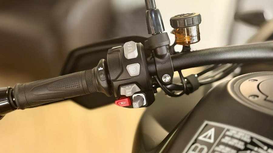 2025 Triumph Tiger 1200 Rally Pro