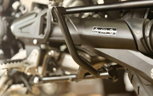 2025 Triumph Tiger 1200 Rally Pro