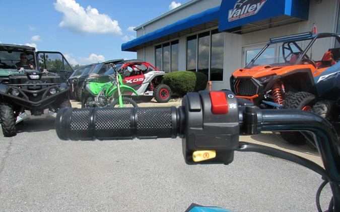 2025 Can-Am Renegade 110 EFI