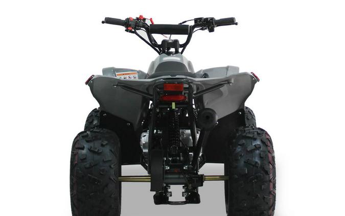 2026 IceBear 125 SY(SY125) Red - T1001645