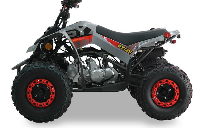2026 IceBear 125 SY(SY125) Red - T1001645