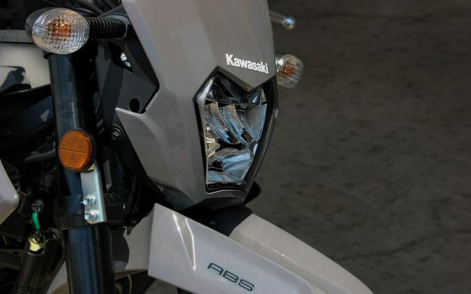 2025 KAWASAKI KLX230SM ABS