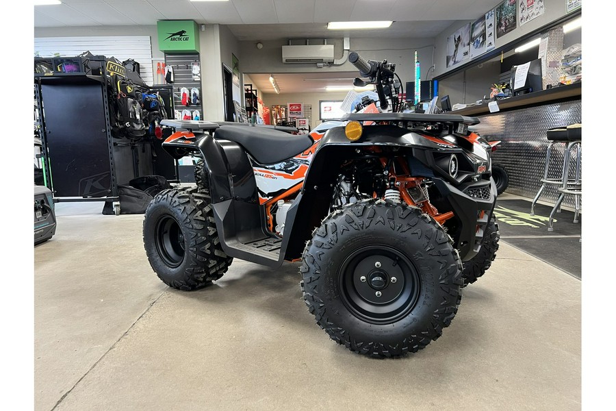 2025 Kayo Bull 125 EFI