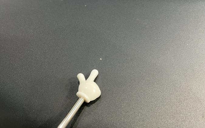 2024 Kawasaki KLR 650 S ABS