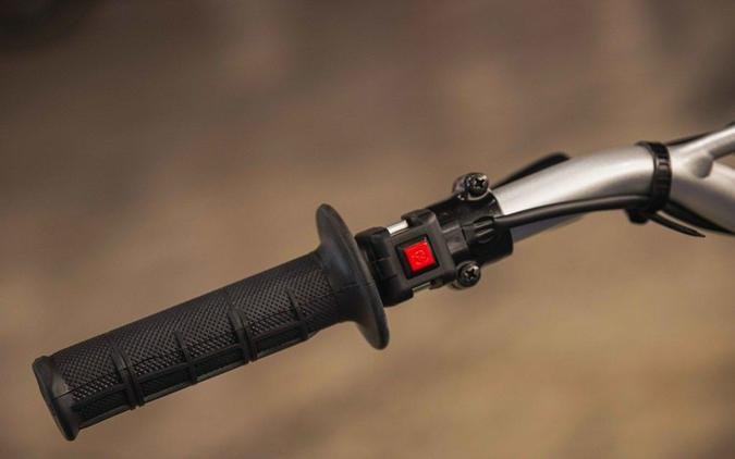 2026 Yamaha TT-R 125LE