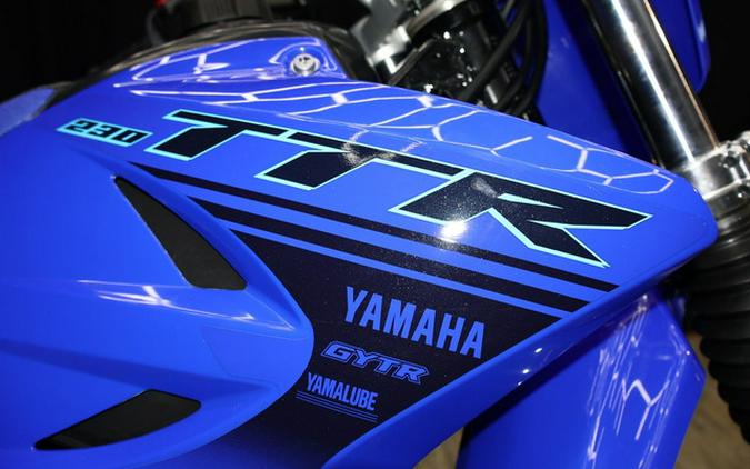 2025 Yamaha TT-R 230