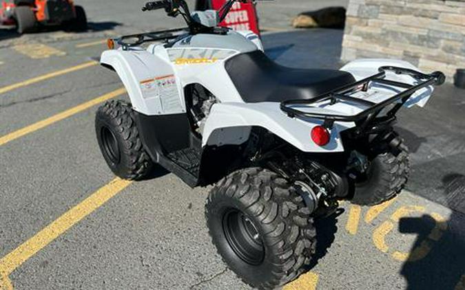 2024 Yamaha Grizzly 90