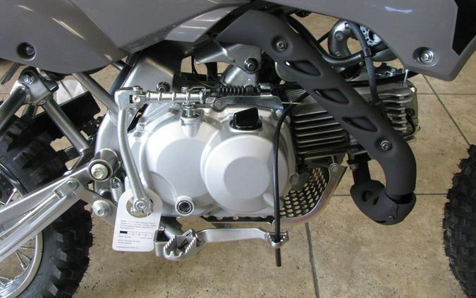 2024 Kawasaki KLX®110R L