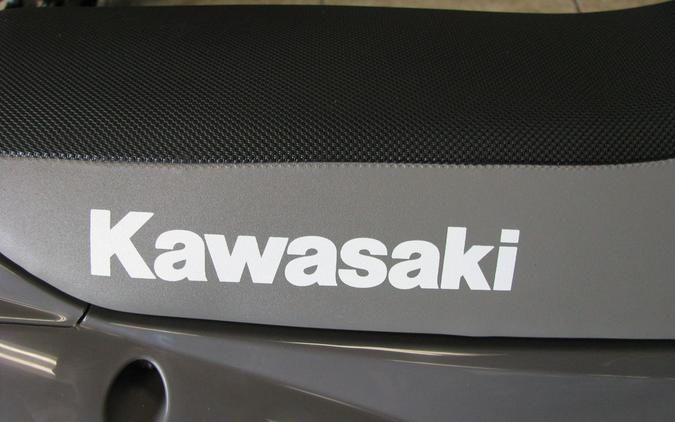 2024 Kawasaki KLX®110R L