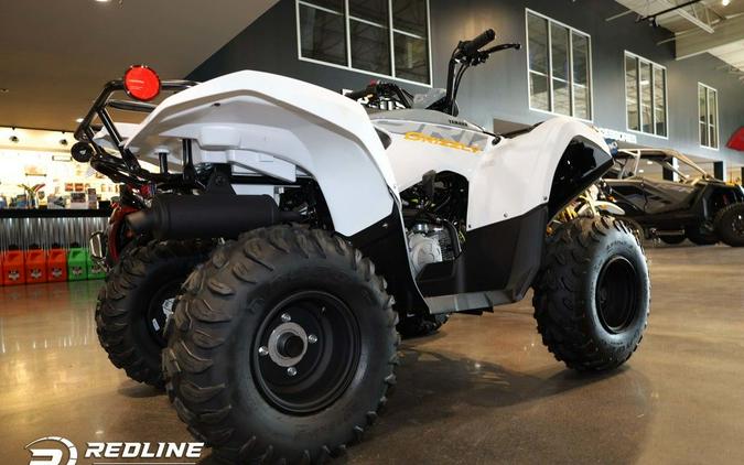 2024 Yamaha Grizzly 90