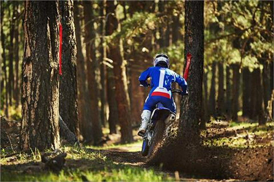 2019 Yamaha YZ450FX