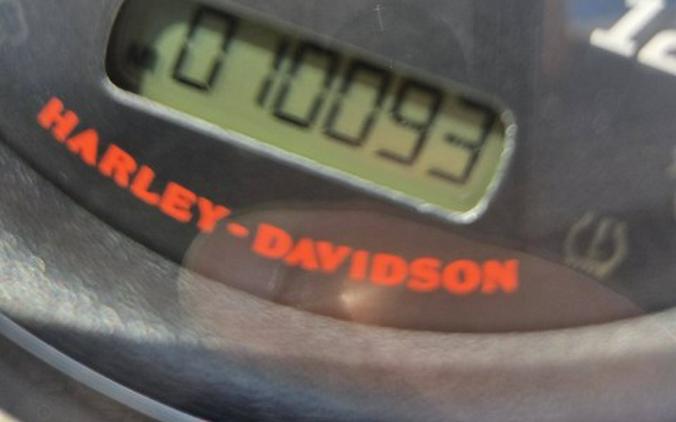 2023 Harley-Davidson Freewheeler®