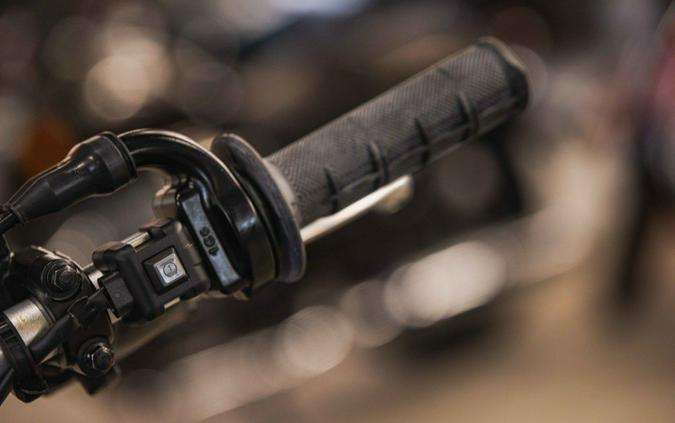 2026 Yamaha TT-R 125LE