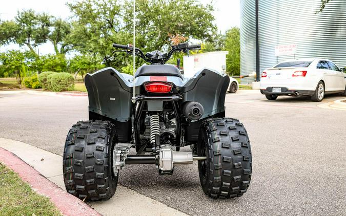 2026 POLARIS PHOENIX 200