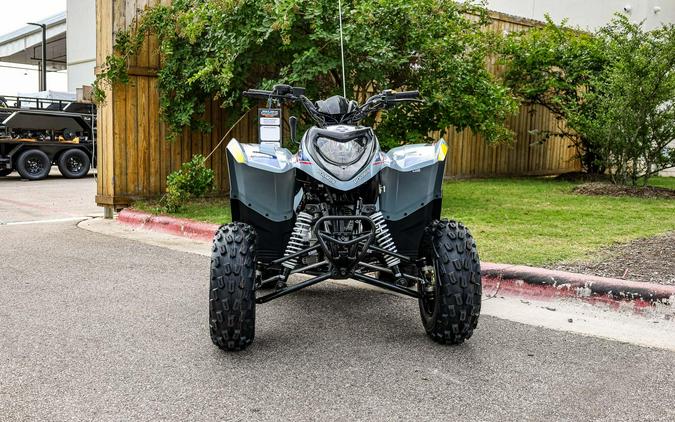 2026 POLARIS PHOENIX 200