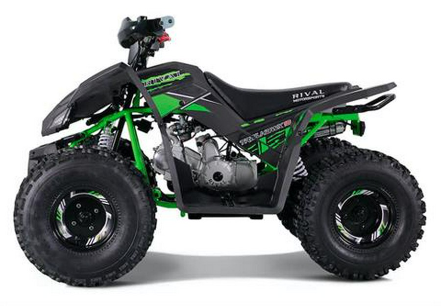 2022 Tao Motor Trailhawk 10