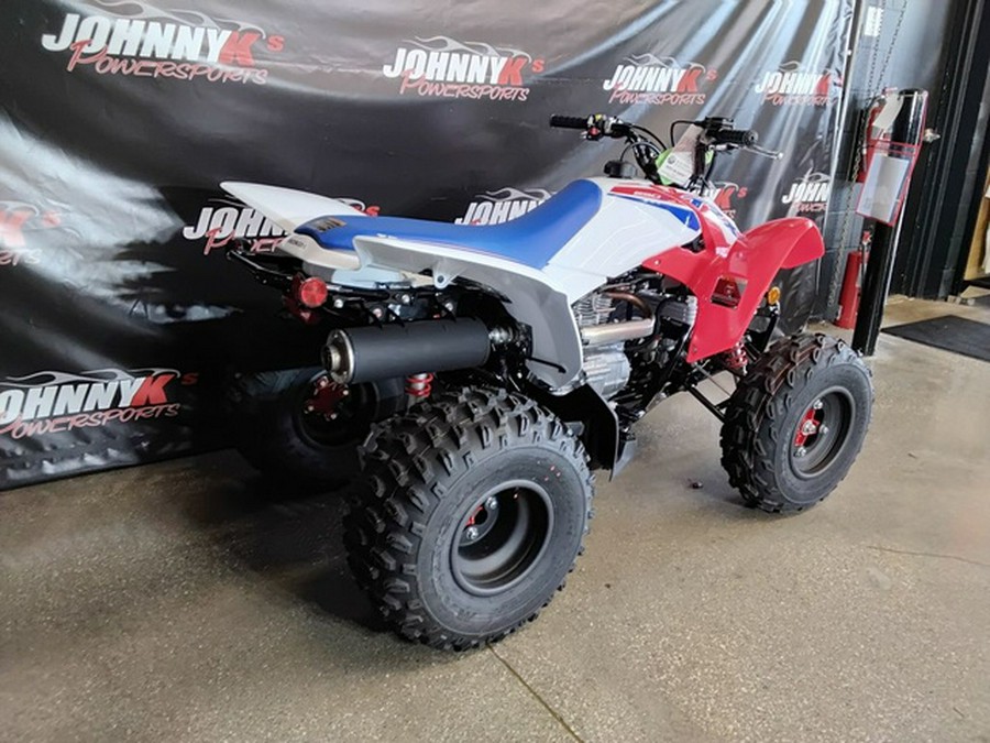 2026 Honda TRX250X