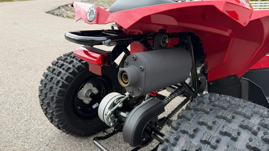2027 Can-AM RENEGADE 110 EFI