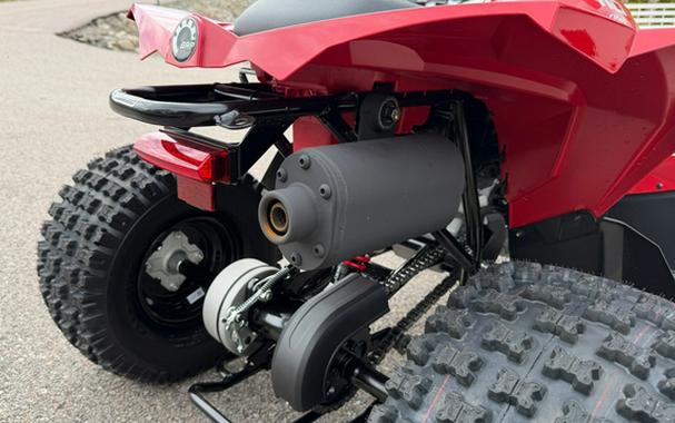 2027 Can-AM RENEGADE 110 EFI