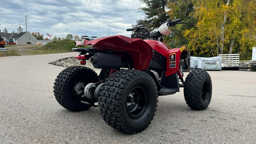 2027 Can-AM RENEGADE 110 EFI