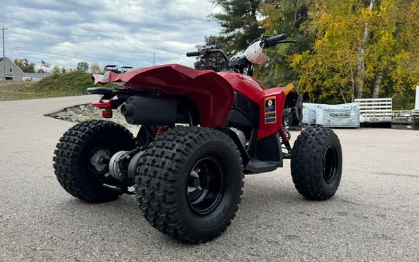 2027 Can-AM RENEGADE 110 EFI