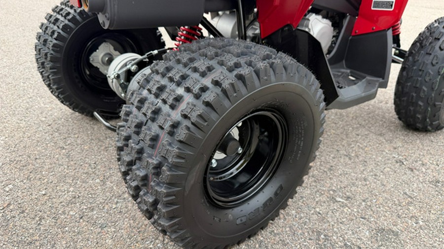 2027 Can-AM RENEGADE 110 EFI