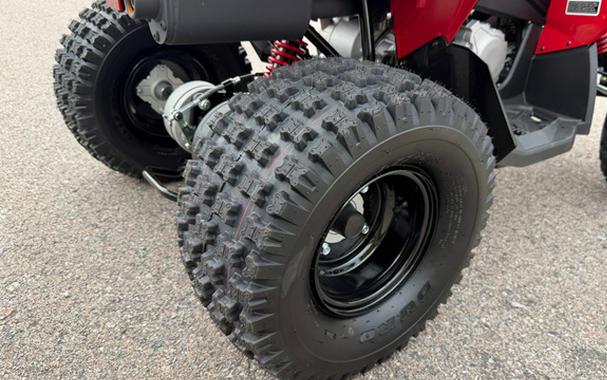 2027 Can-AM RENEGADE 110 EFI