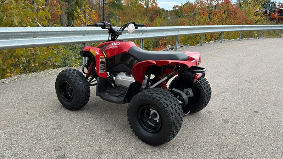 2027 Can-AM RENEGADE 110 EFI