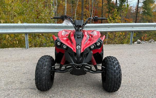 2027 Can-AM RENEGADE 110 EFI
