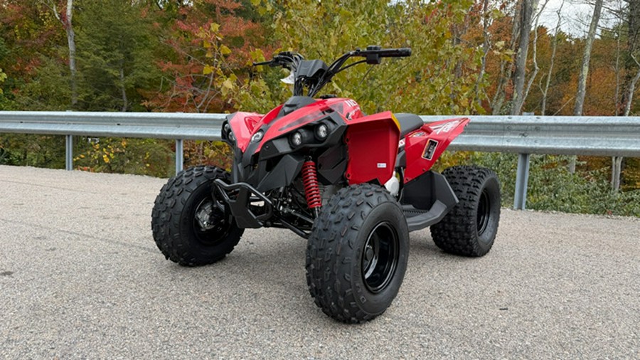 2027 Can-AM RENEGADE 110 EFI