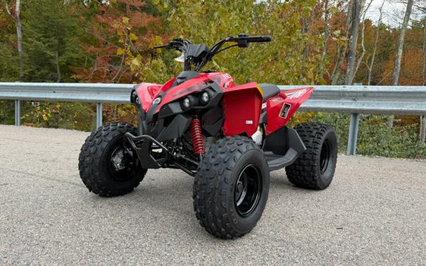 2027 Can-AM RENEGADE 110 EFI
