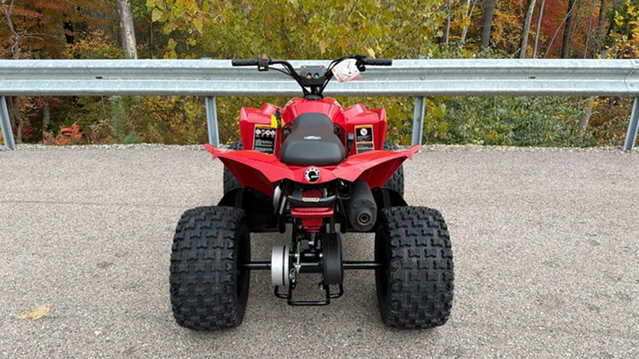 2027 Can-AM RENEGADE 110 EFI