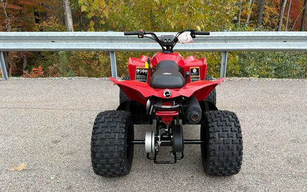 2027 Can-AM RENEGADE 110 EFI