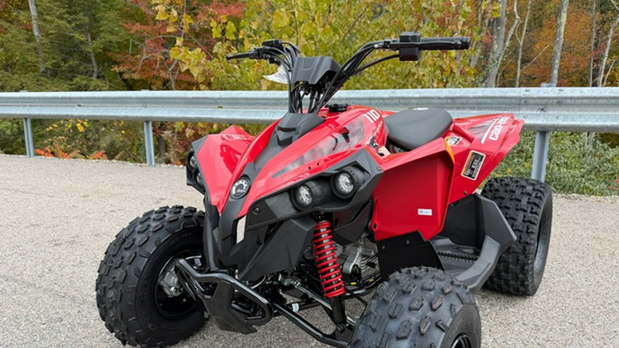 2027 Can-AM RENEGADE 110 EFI