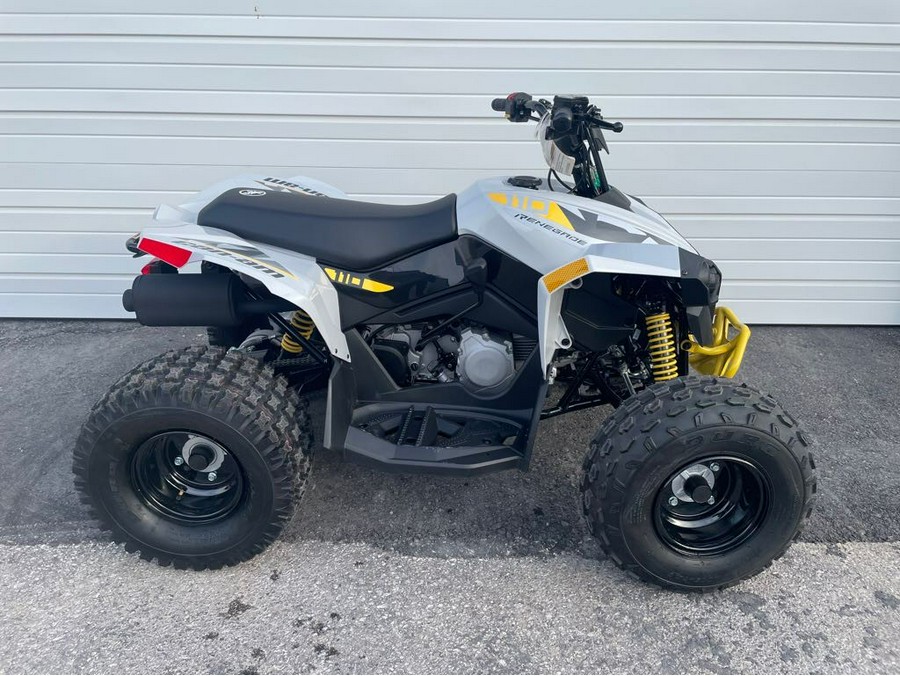 2024 Can-Am Renegade 110 EFI Gray & Yellow / Blue & Black