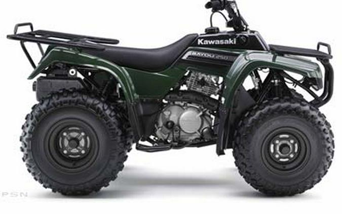 2009 Kawasaki Bayou® 250