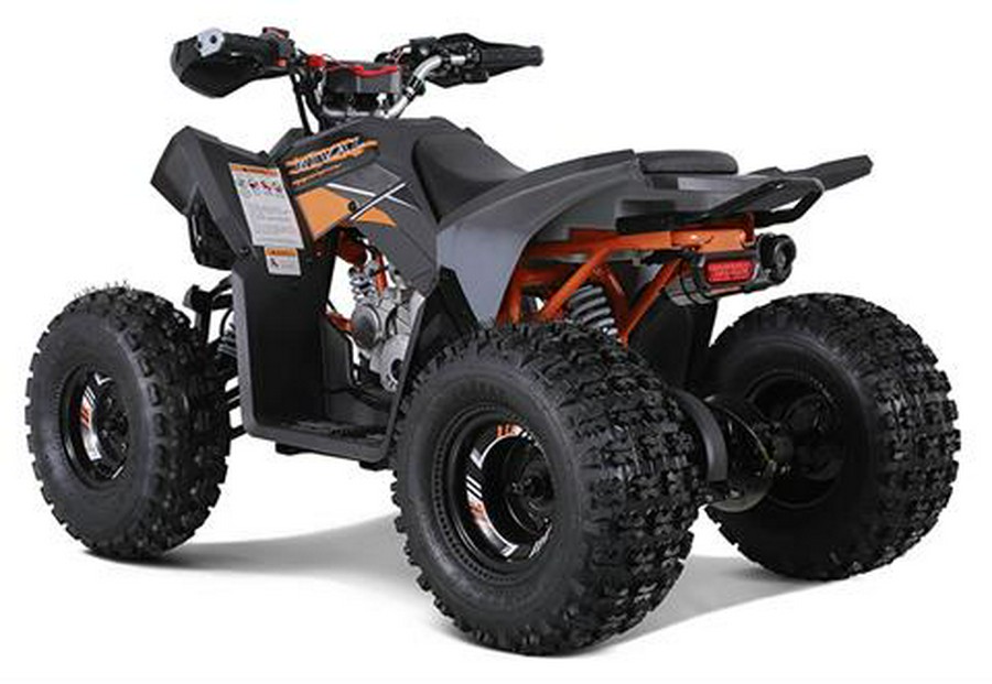 2023 Tao Motor Trailhawk 10