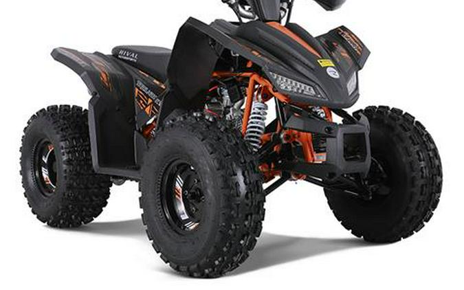 2023 Tao Motor Trailhawk 10