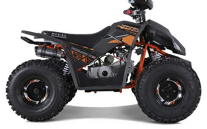 2023 Tao Motor Trailhawk 10