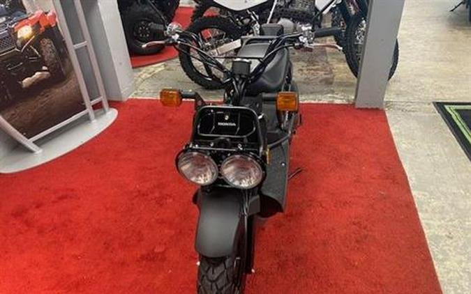 2024 Honda Ruckus